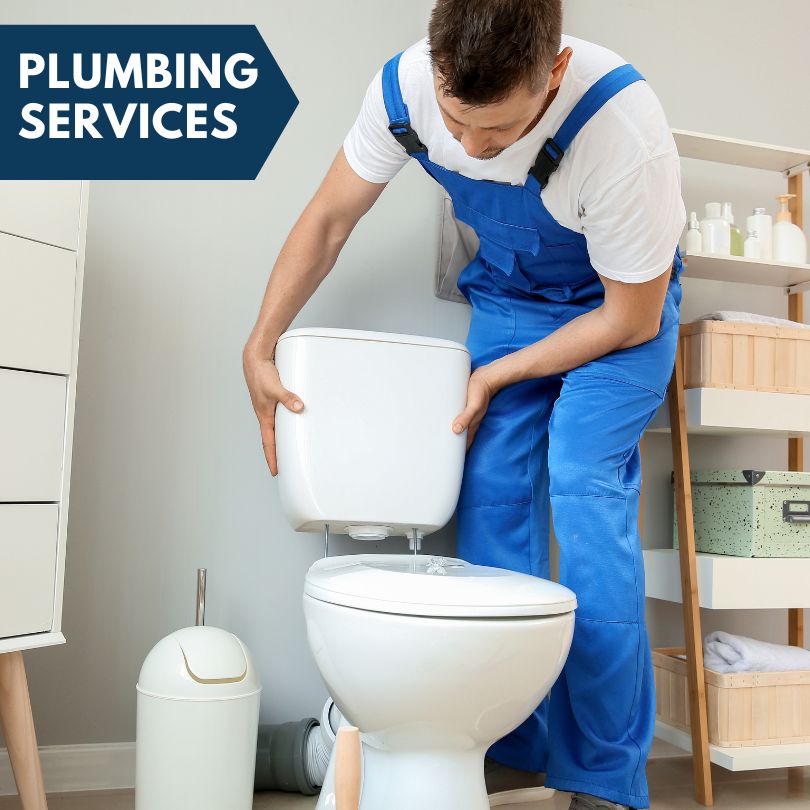 Plumbing Company in Birch Run, MI